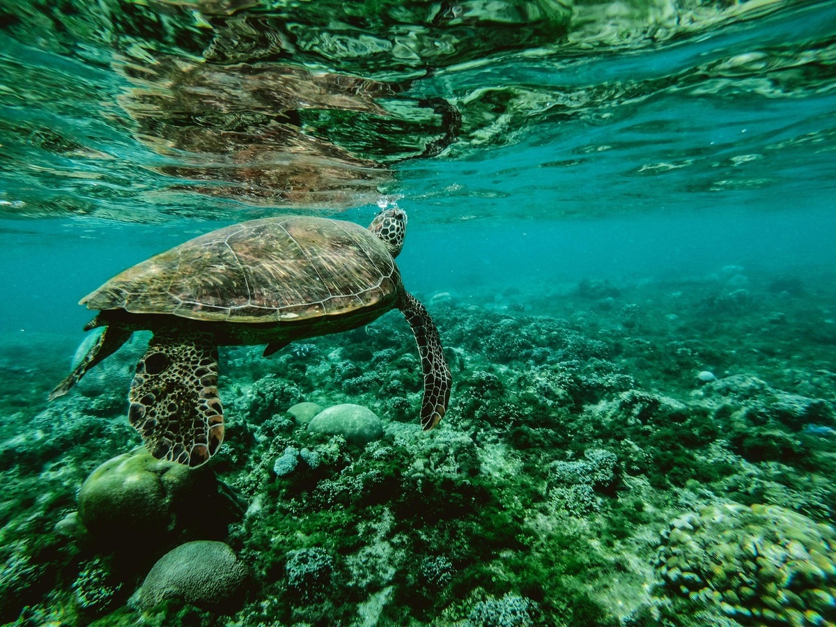 Personalizované benefity a trendy vo firemných odmeňovacích stratégiách