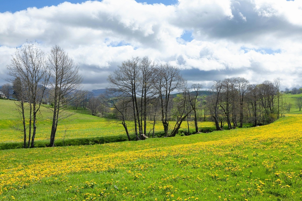 Edge AI v zabudovaných systémoch: umelá inteligencia na okraji siete