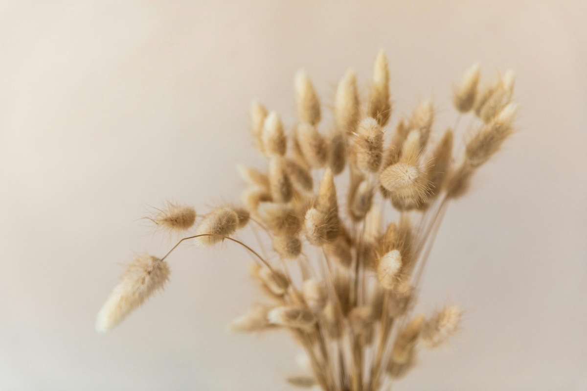 Bitcoin SV: Fork Bitcoinu s dôrazom na pôvodnú víziu Nakamota